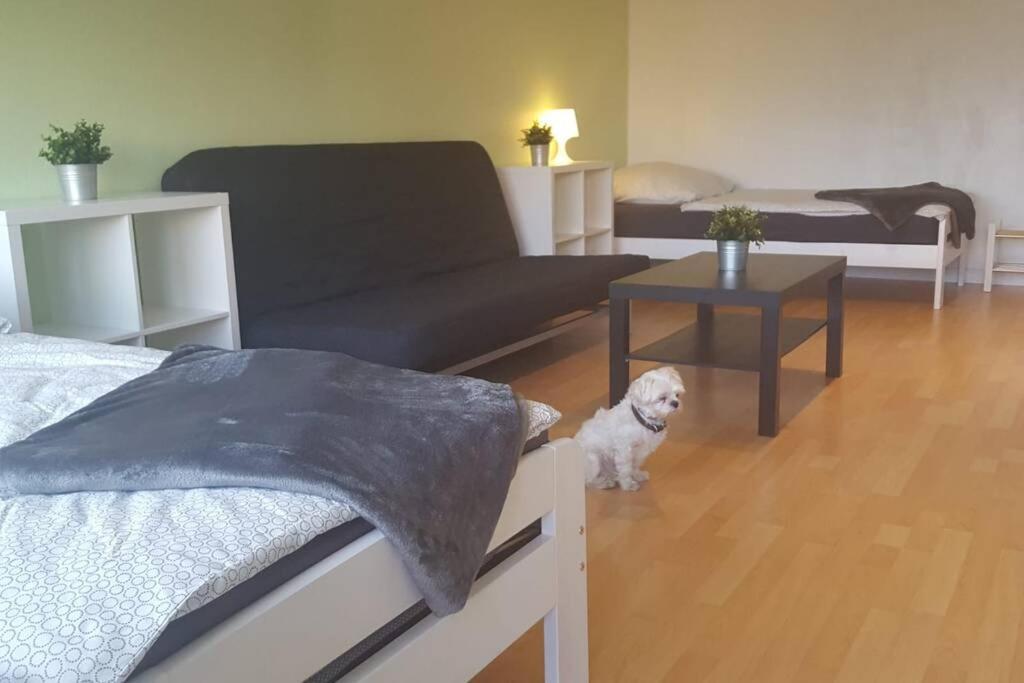 1 A Ferienwohnung Modern ดุยส์บูร์ก ภายนอก รูปภาพ